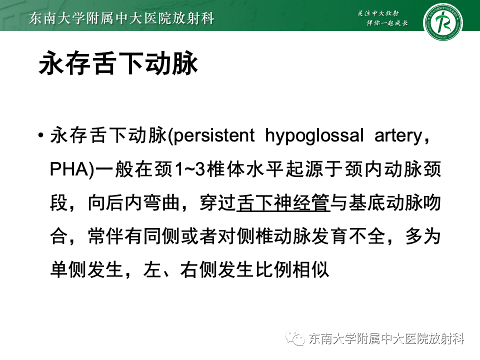 影像PPT - 【PPT】永存颈内—基底动脉吻合-24