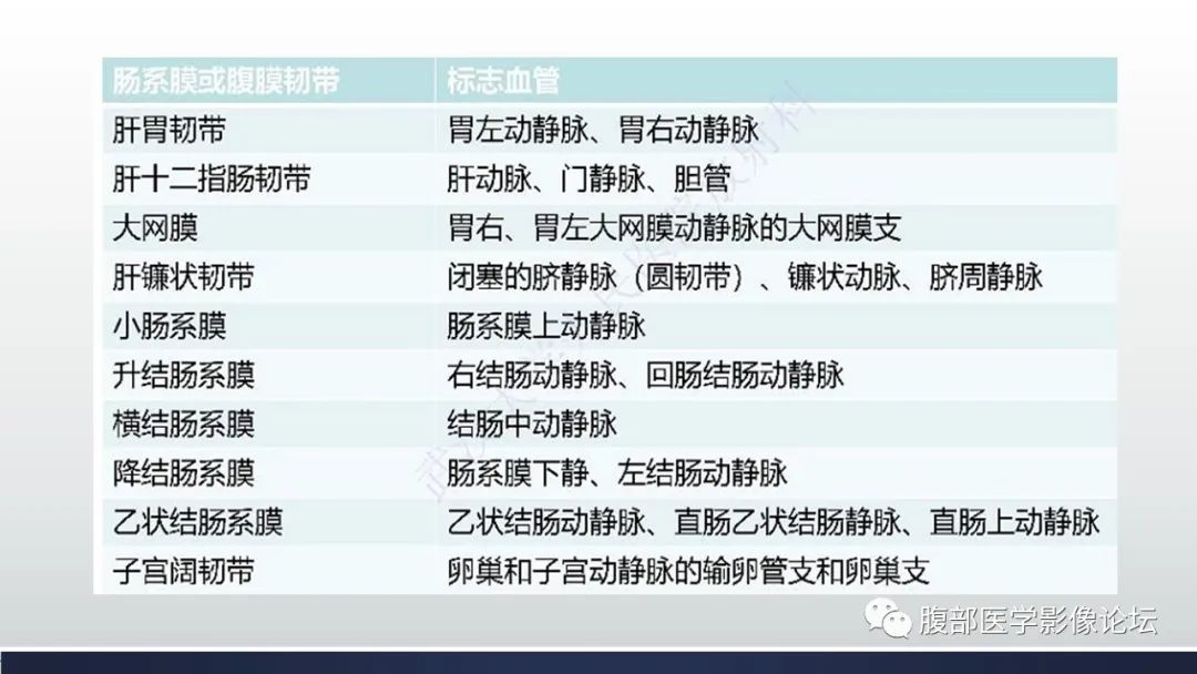 影像PPT - 【病例】腹内疝—小网膜囊疝1例CT影像-18 影像PPT - 【病例】腹内疝—小网膜囊疝1例CT影像-18