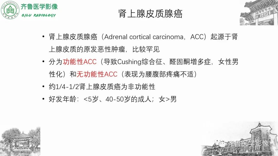 影像PPT - 【病例】肾上腺皮质腺癌2例CT及MR影像-23