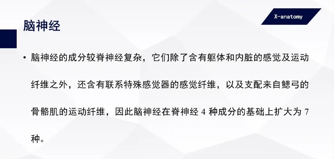 影像PPT - 【PPT】颅神经解剖-5