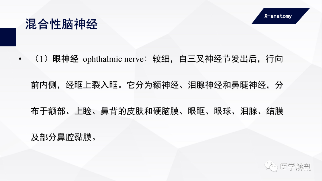 影像PPT - 【PPT】颅神经解剖-37