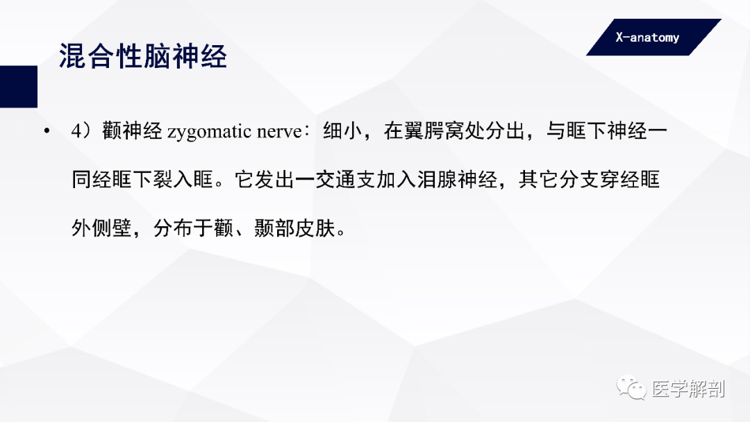 影像PPT - 【PPT】颅神经解剖-45