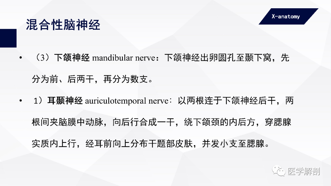 影像PPT - 【PPT】颅神经解剖-46