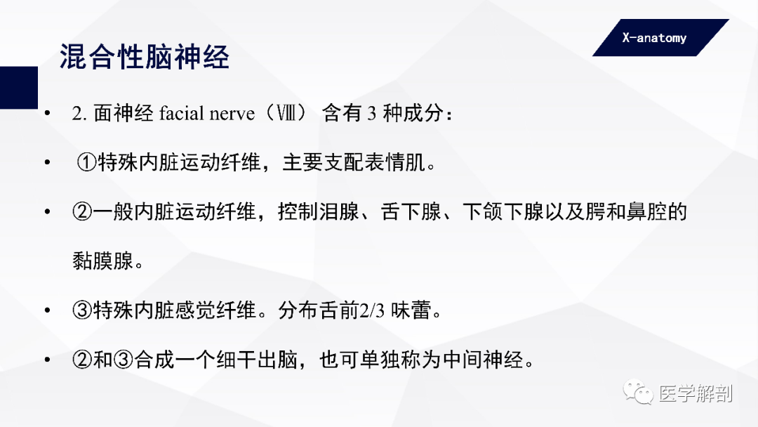 影像PPT - 【PPT】颅神经解剖-49