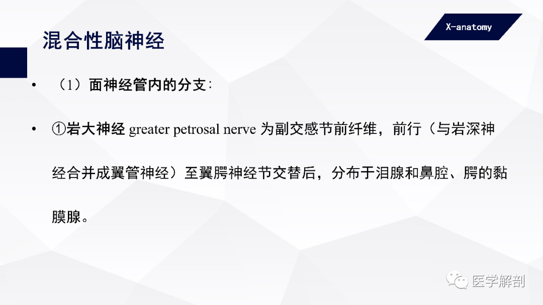 影像PPT - 【PPT】颅神经解剖-53