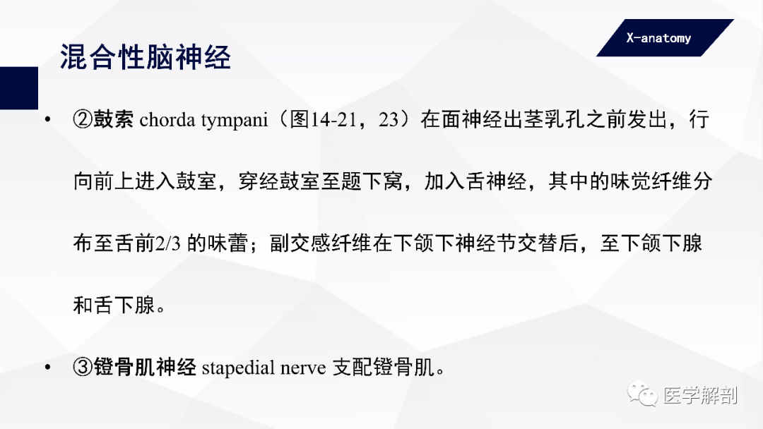 影像PPT - 【PPT】颅神经解剖-54