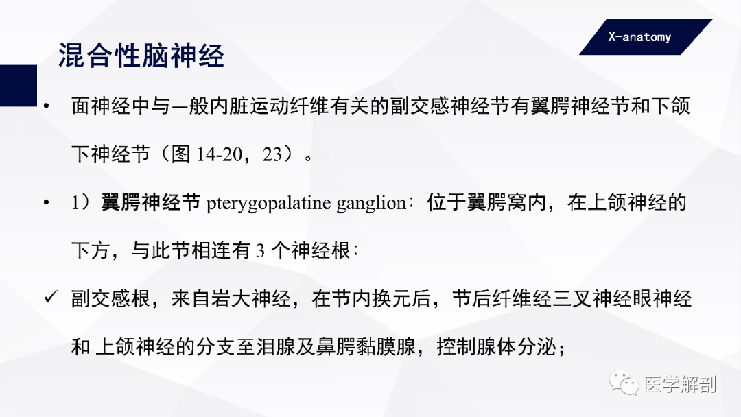 影像PPT - 【PPT】颅神经解剖-57