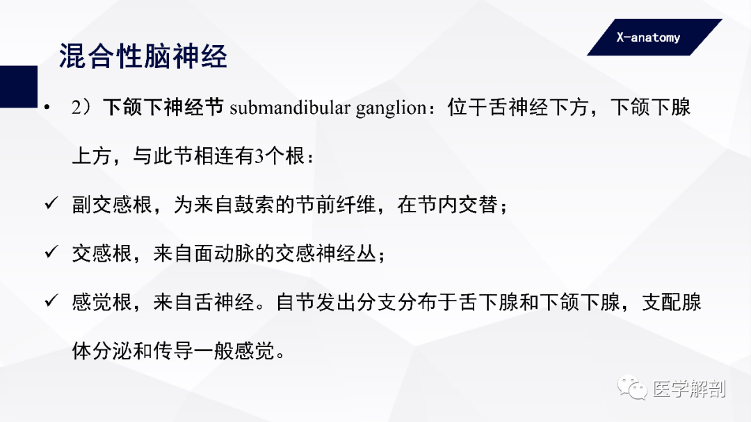 影像PPT - 【PPT】颅神经解剖-59