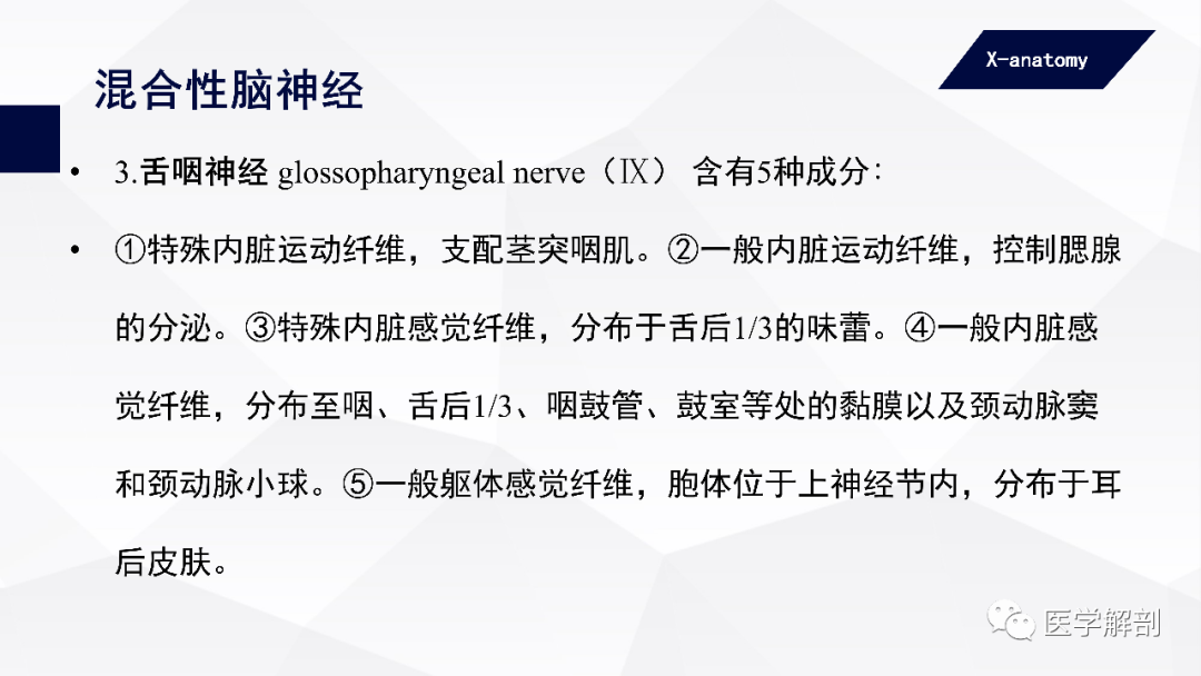 影像PPT - 【PPT】颅神经解剖-60