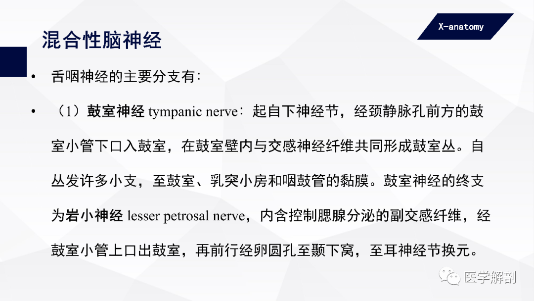 影像PPT - 【PPT】颅神经解剖-63