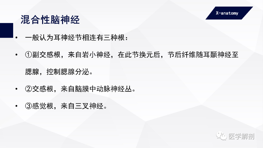 影像PPT - 【PPT】颅神经解剖-66
