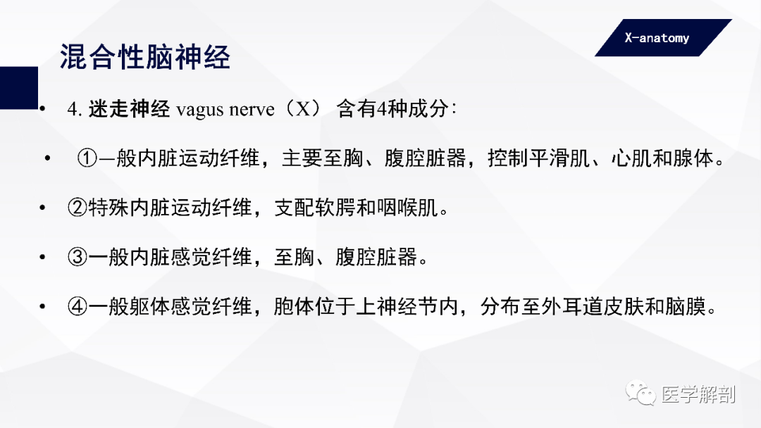 影像PPT - 【PPT】颅神经解剖-68