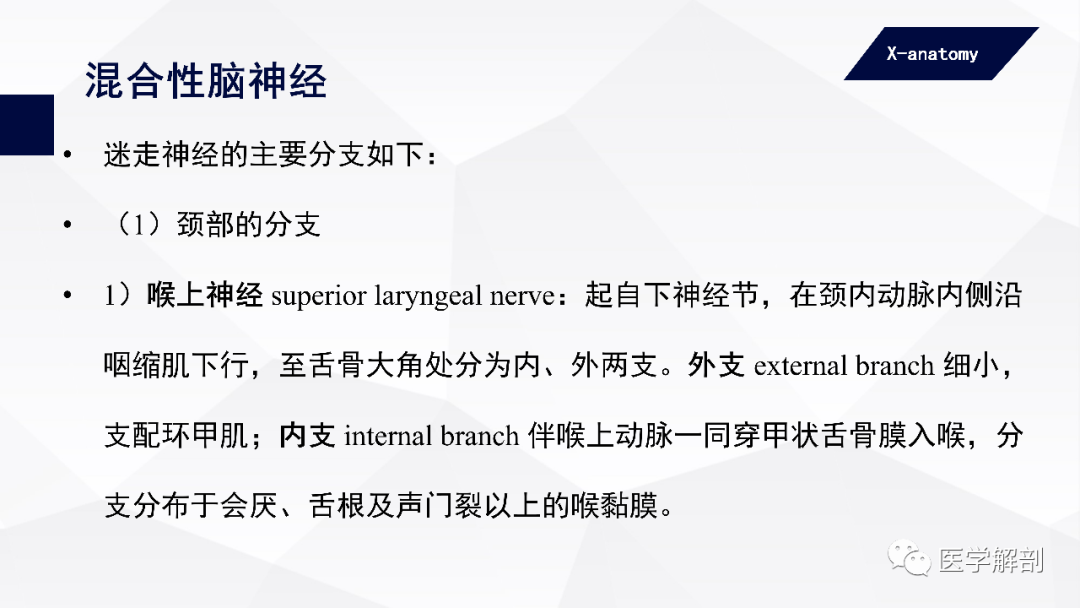 影像PPT - 【PPT】颅神经解剖-73