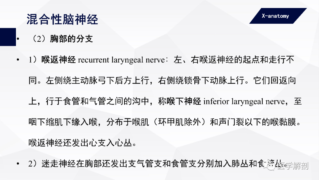 影像PPT - 【PPT】颅神经解剖-75