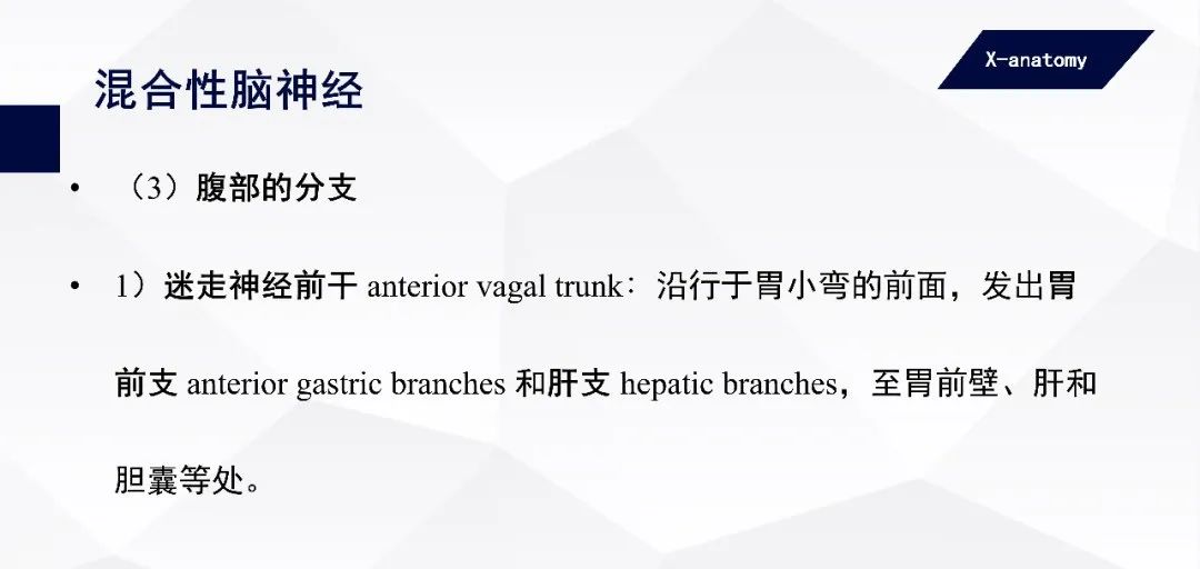 影像PPT - 【PPT】颅神经解剖-76