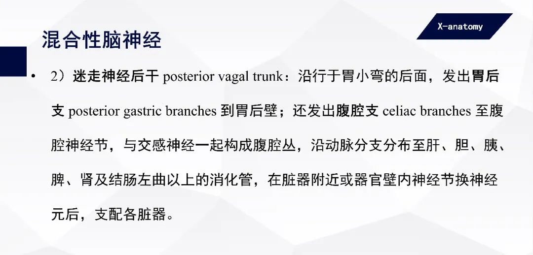 影像PPT - 【PPT】颅神经解剖-77