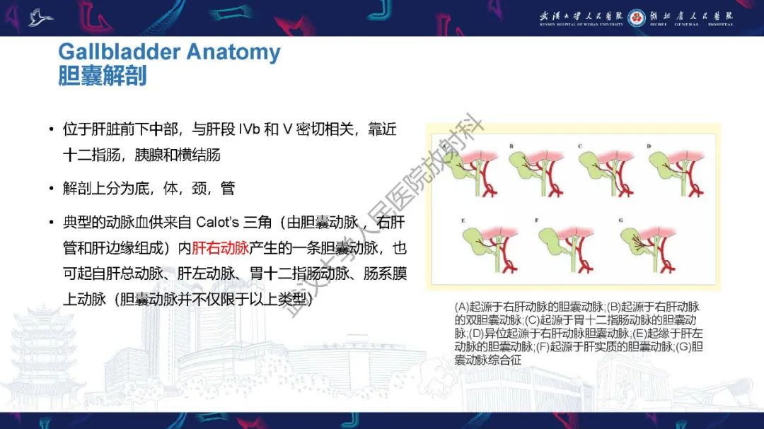 影像PPT - 【PPT】胆囊癌MRI诊断-5