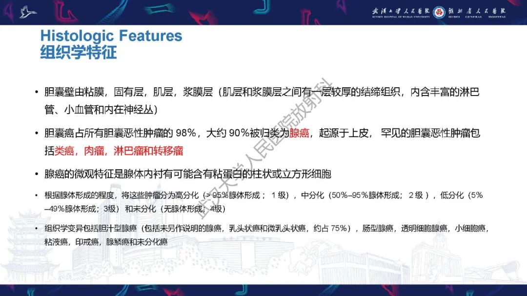 影像PPT - 【PPT】胆囊癌MRI诊断-7
