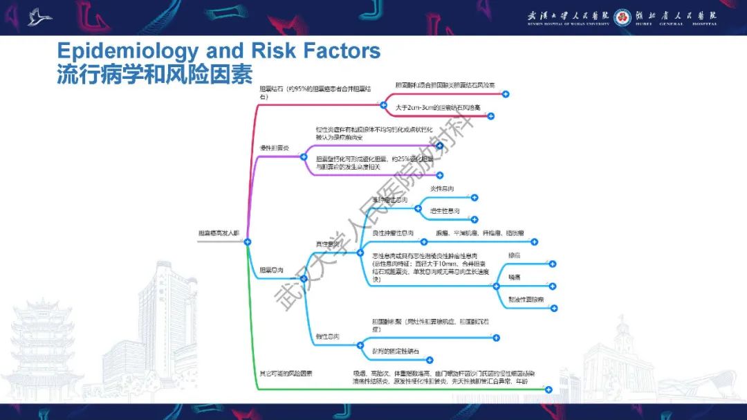 影像PPT - 【PPT】胆囊癌MRI诊断-3
