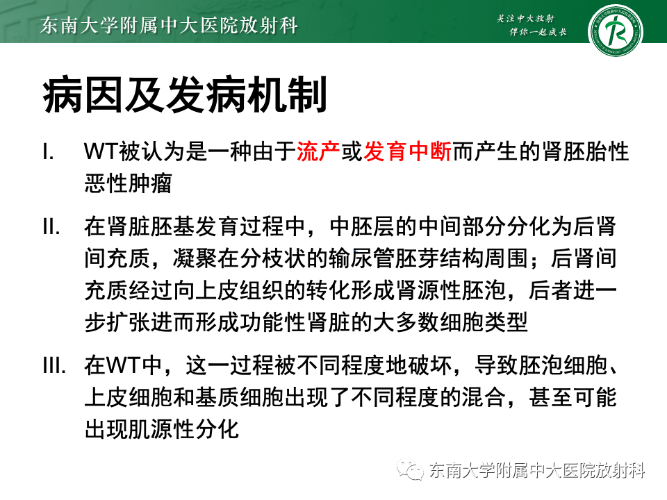 影像PPT - 【PPT】肾母细胞瘤-13