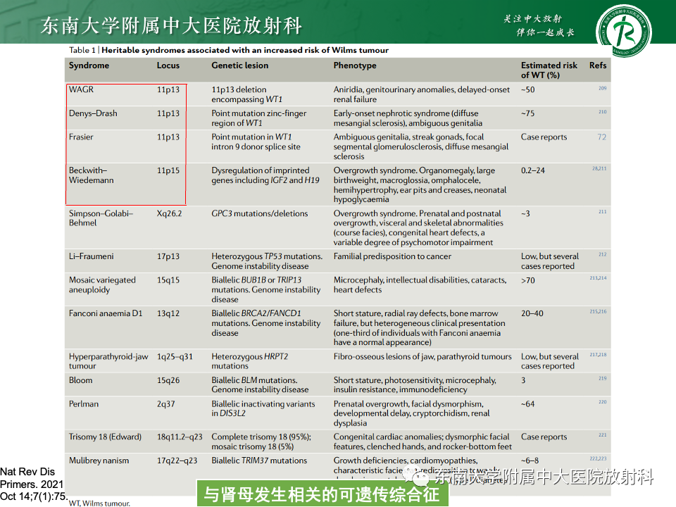影像PPT - 【PPT】肾母细胞瘤-15