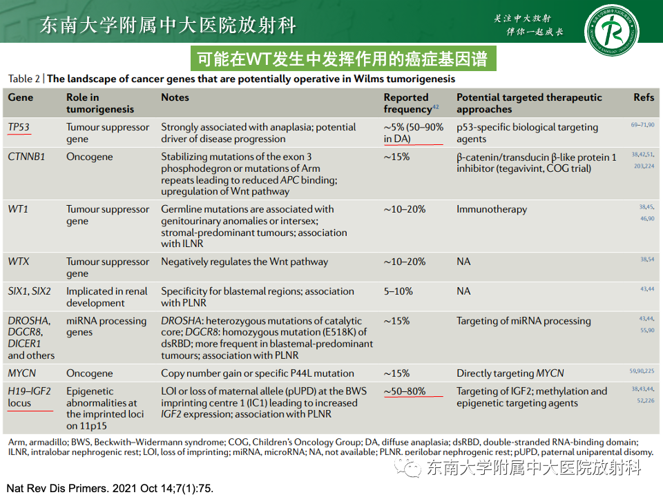 影像PPT - 【PPT】肾母细胞瘤-16