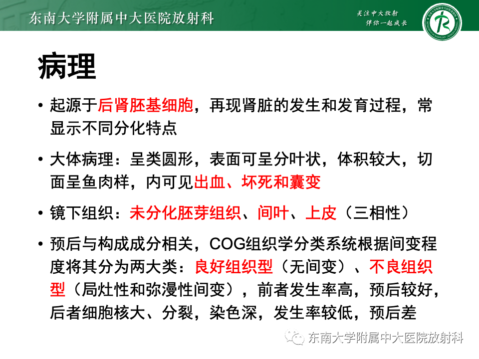 影像PPT - 【PPT】肾母细胞瘤-19