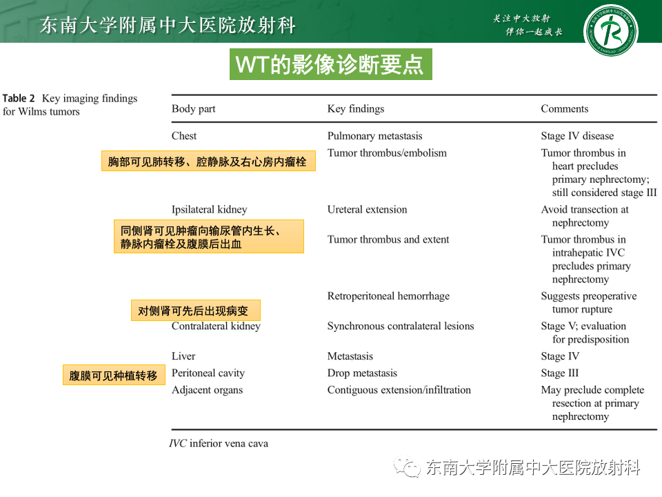 影像PPT - 【PPT】肾母细胞瘤-24