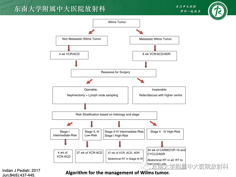 影像PPT - 【PPT】肾母细胞瘤-60