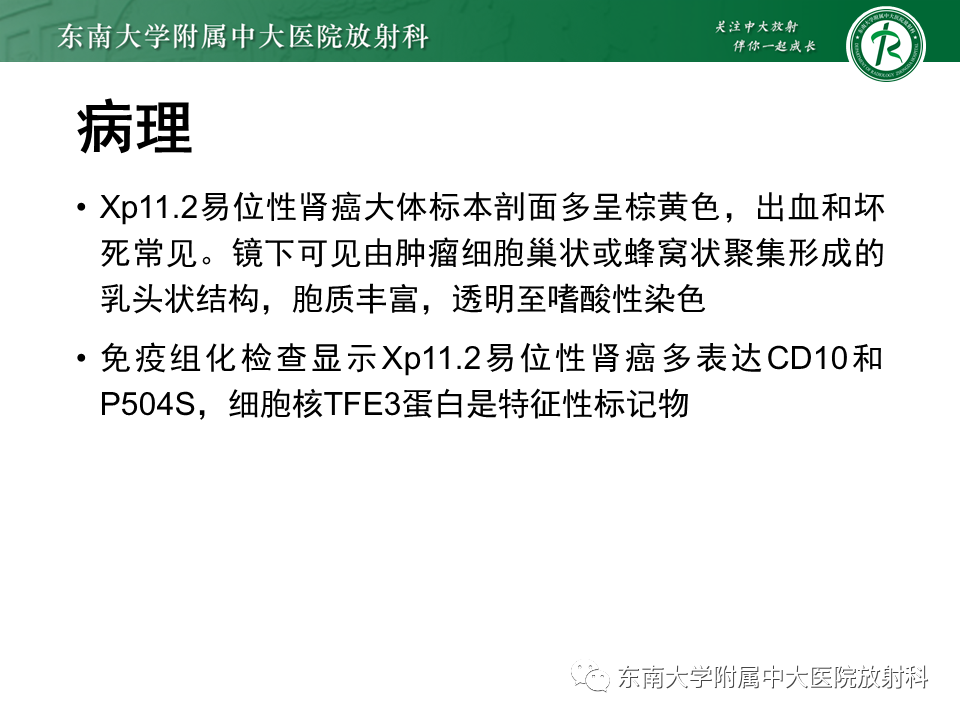 影像PPT - 【PPT】Xp11.2易位/TFE3基因融合相关性肾癌-10