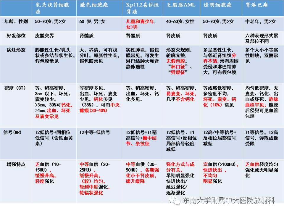 影像PPT - 【PPT】Xp11.2易位/TFE3基因融合相关性肾癌-42