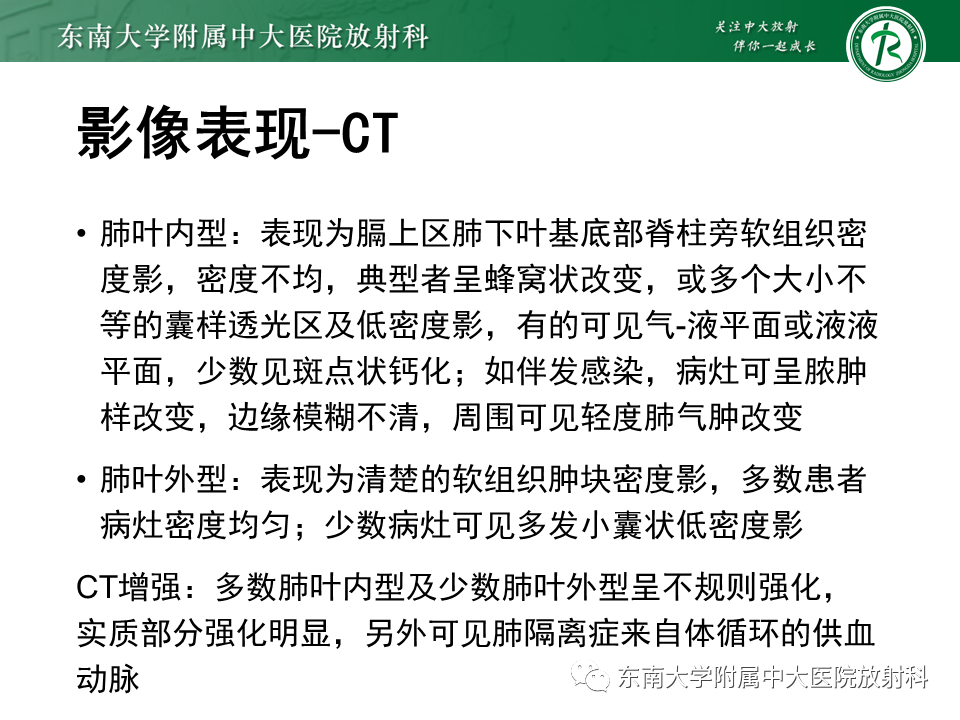 影像PPT - 【PPT】肺隔离症-13