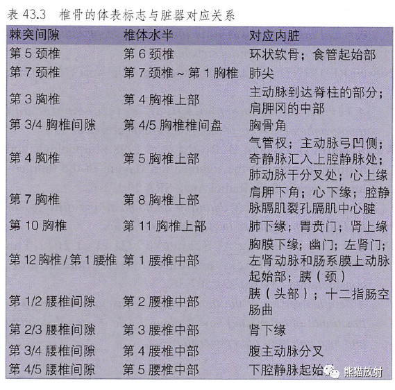 影像PPT - 脊柱(椎体、椎间盘、韧带)解剖-40 影像PPT - 脊柱(椎体、椎间盘、韧带)解剖-40