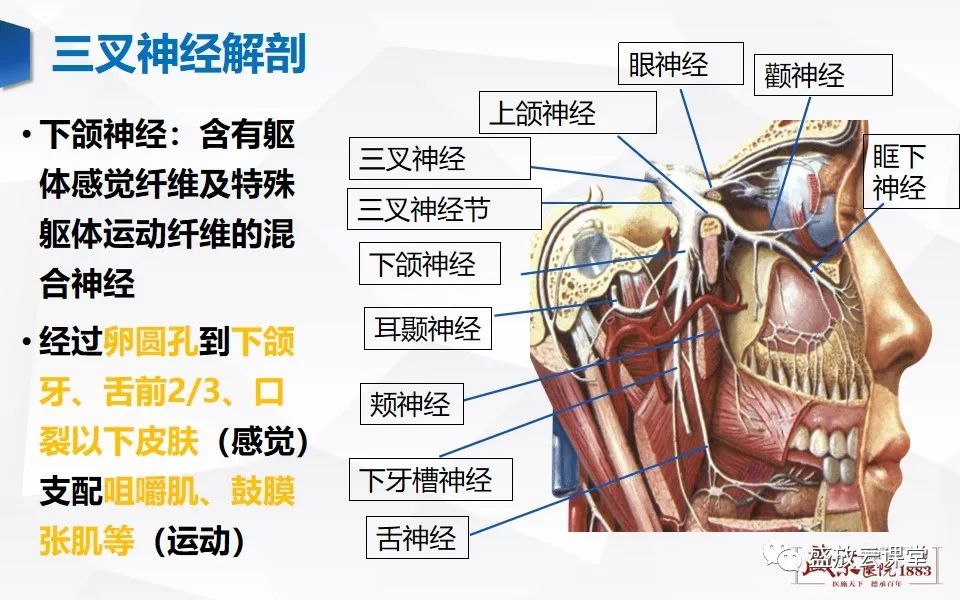 影像PPT - 【PPT】MR对三叉神经的评价-6