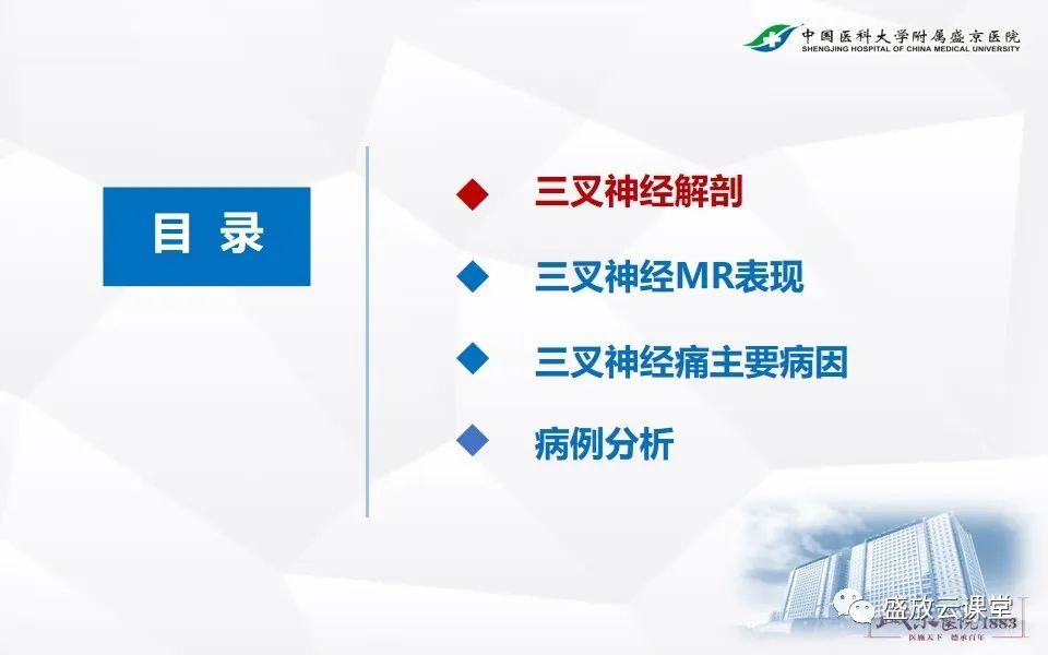 影像PPT - 【PPT】MR对三叉神经的评价-2