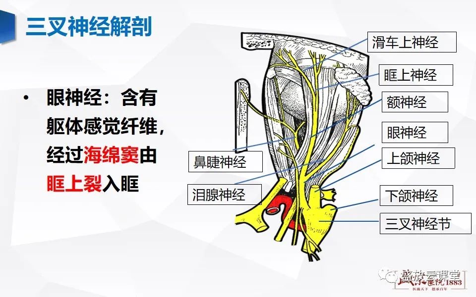 影像PPT - 【PPT】MR对三叉神经的评价-4