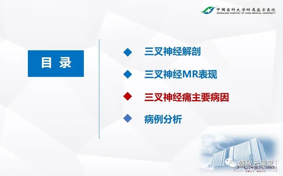 影像PPT - 【PPT】MR对三叉神经的评价-12