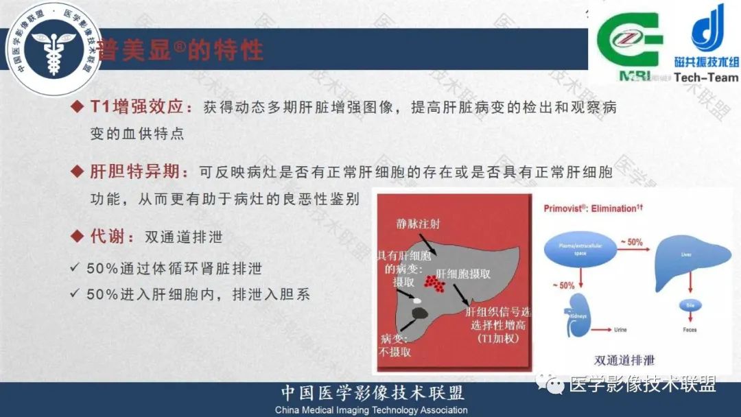 影像PPT - 【PPT】肝脏磁共振规范化扫描特异性对比剂增强MR—扫描方案与经验分享-4