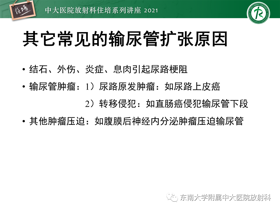 影像PPT - 【PPT】输尿管扩张性疾病的影像诊断-30