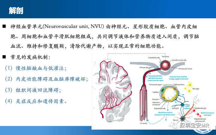 影像PPT - 【PPT】脑小血管病神经影像评估-6