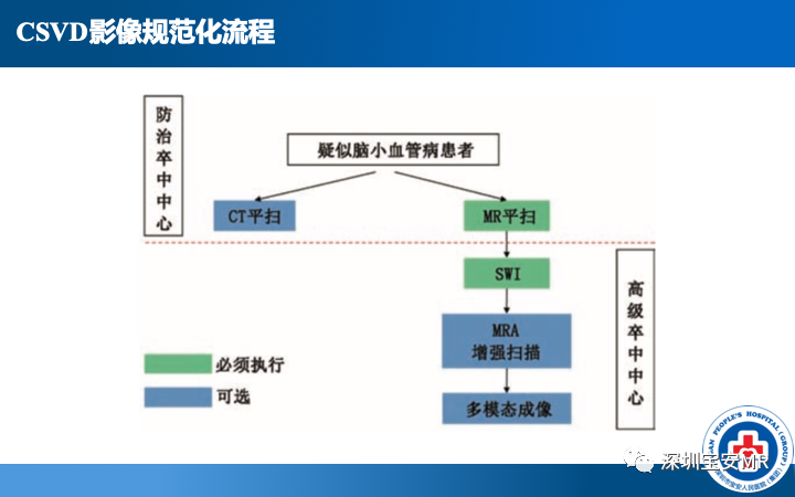 影像PPT - 【PPT】脑小血管病神经影像评估-8