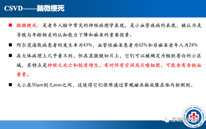 影像PPT - 【PPT】脑小血管病神经影像评估-13