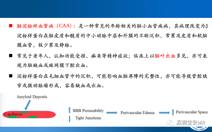 影像PPT - 【PPT】脑小血管病神经影像评估-24