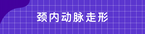 影像PPT - 颈内动脉走形:概述及颈段、岩段和破裂孔段-1 影像PPT - 颈内动脉走形:概述及颈段、岩段和破裂孔段-1