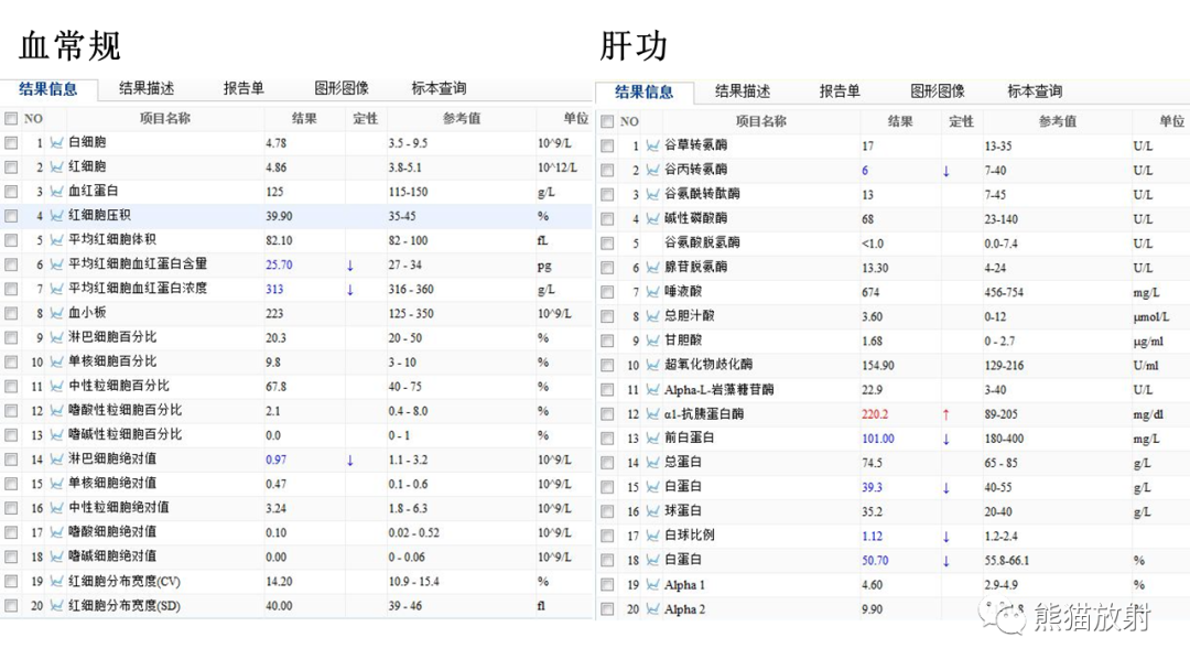 影像PPT - 【病例】肺腺样囊性癌 VS 粘液表皮样癌-14