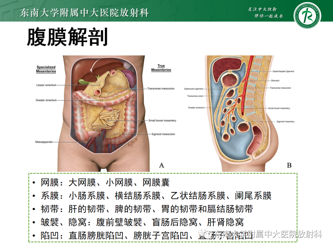 影像PPT - 【PPT】腹部孤立性实性占位病例随访-17 影像PPT - 【PPT】腹部孤立性实性占位病例随访-17