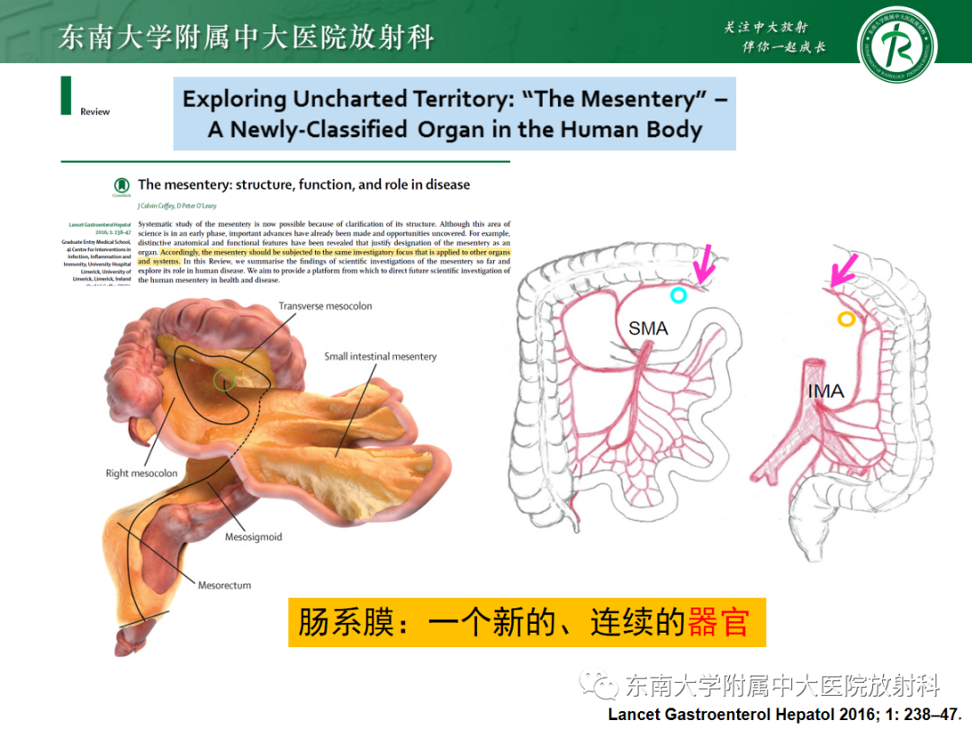 影像PPT - 【PPT】腹部孤立性实性占位病例随访-19 影像PPT - 【PPT】腹部孤立性实性占位病例随访-19