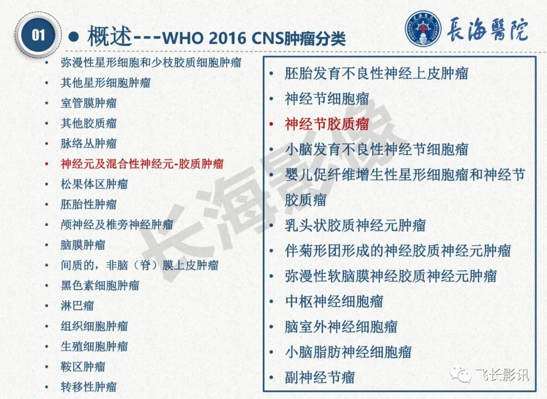 影像PPT - 【PPT】脑节细胞胶质瘤的诊断及鉴别诊断-9