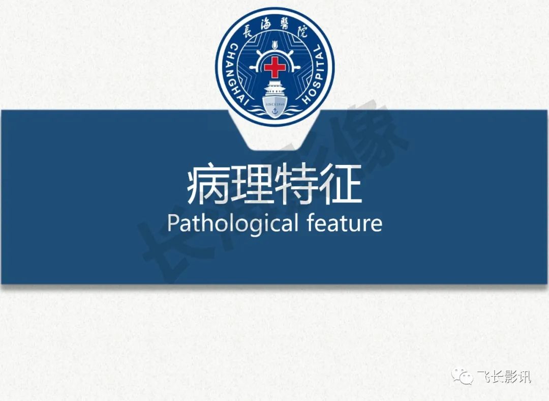 影像PPT - 【PPT】脑节细胞胶质瘤的诊断及鉴别诊断-13