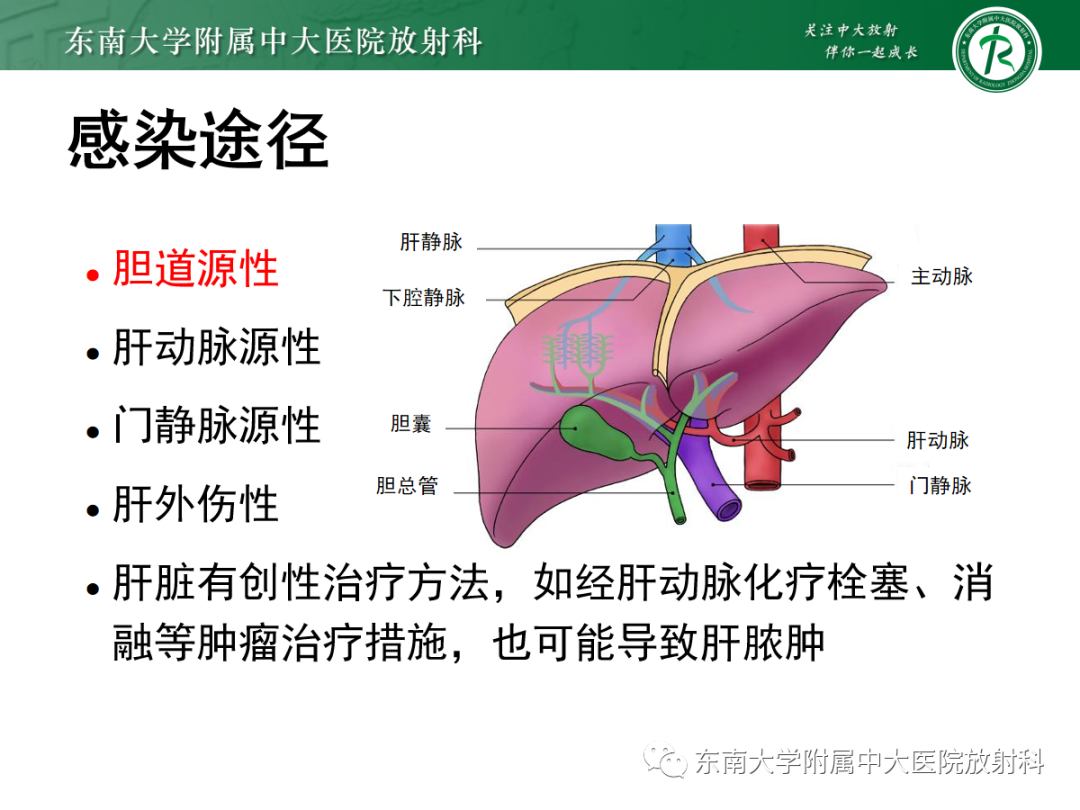 影像PPT - 【PPT】细菌性肝脓肿-5